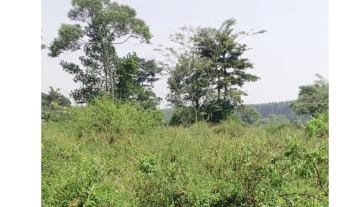 WhatsApp Image 2025-03-21 at 21.51.12.jpg